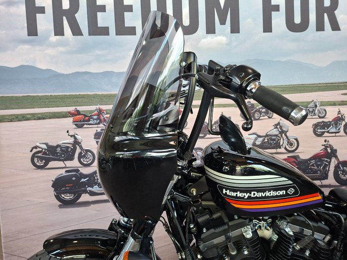 2019 HARLEY-DAVIDSON XL1200XS FORTY-EIGHT SPECIAL