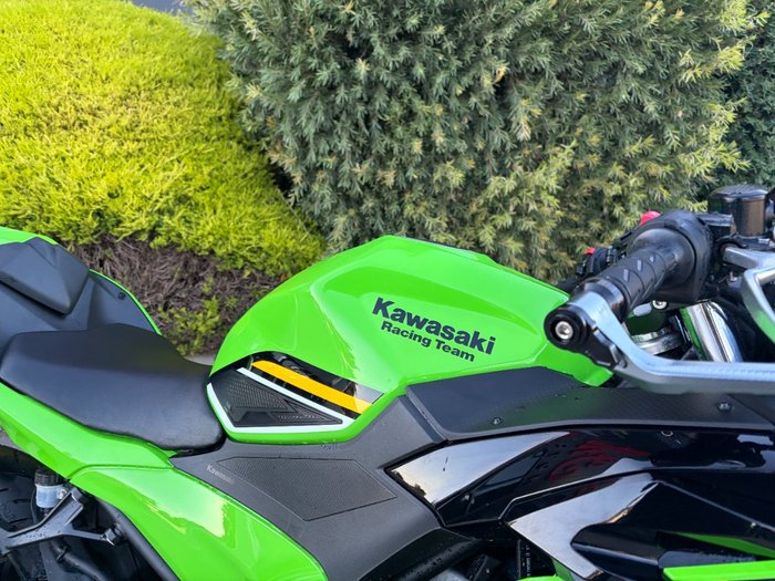 2025 Kawasaki NINJA 500 SE (LAMS) Green