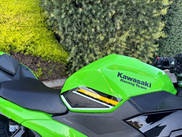 2025 Kawasaki NINJA 500 SE (LAMS) Green