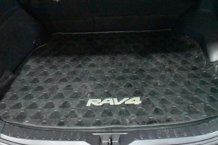 2021 Toyota RAV4 Cruiser