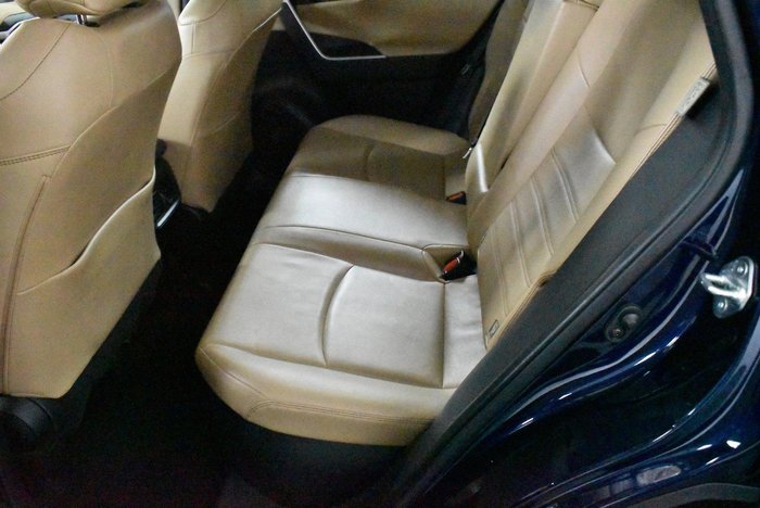 2021 Toyota RAV4 Cruiser