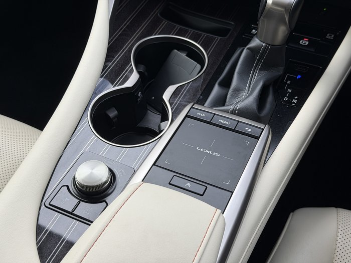 2020 Lexus RX RX350 Sports Luxury