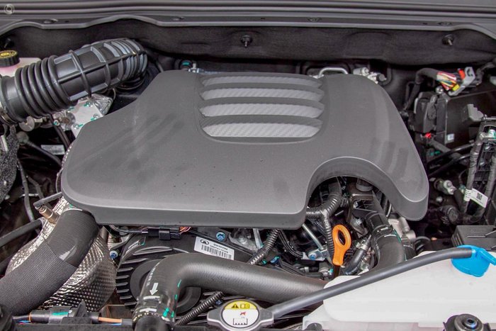 2021 GWM Ute Cannon