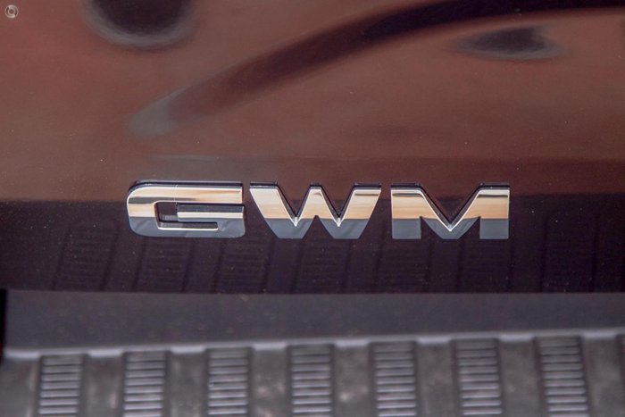 2021 GWM Ute Cannon