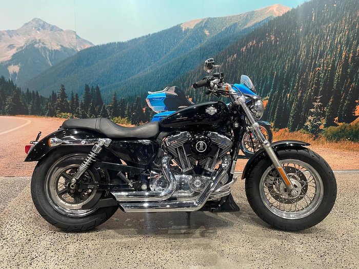 Harley-Davidson 1200 Custom (XL1200C) Sportster