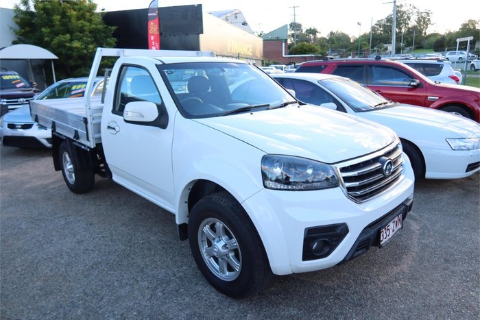 2019 Great Wall Steed