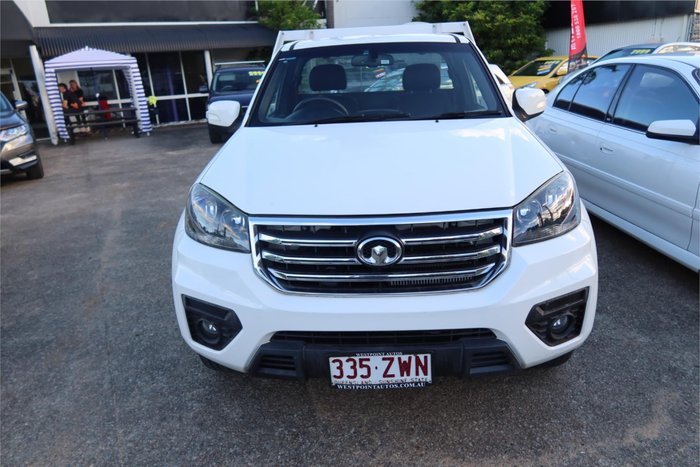 2019 Great Wall Steed