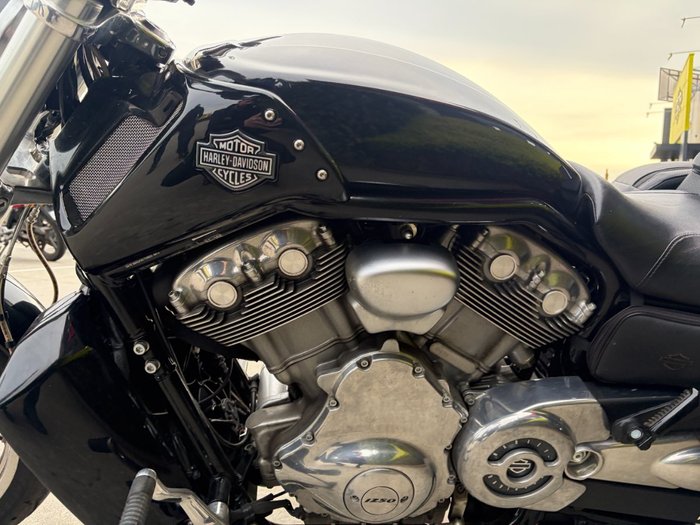 2015 HARLEY-DAVIDSON VRSCF MUSCLE Black