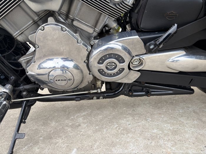 2015 HARLEY-DAVIDSON VRSCF MUSCLE Black