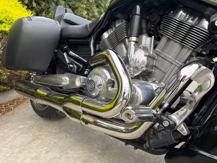 2015 HARLEY-DAVIDSON VRSCF MUSCLE Black