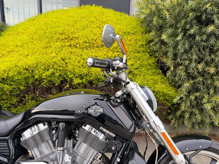 2015 HARLEY-DAVIDSON VRSCF MUSCLE Black