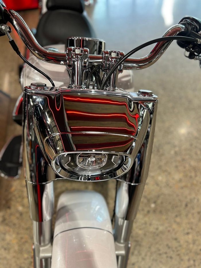 2026 Harley-Davidson Fat Boy 117 (FLFB) Softail White