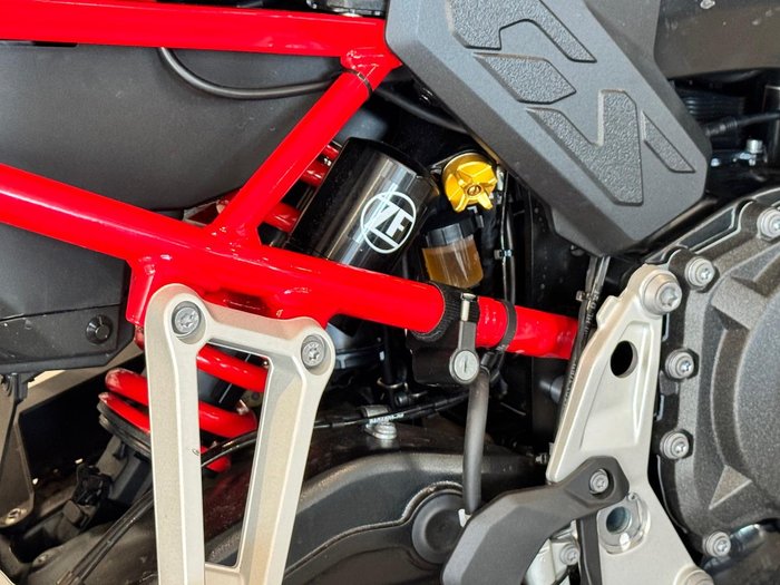 2025 BMW Motorrad F 900 GS Enduro F 900 Yellow