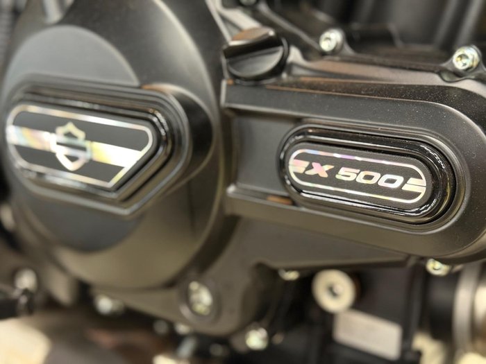 2024 Harley-Davidson X 500 X Silver