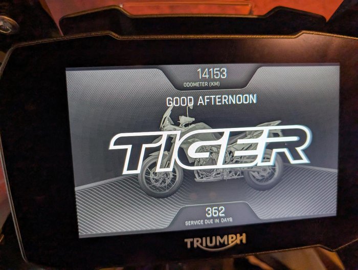 2020 Triumph Tiger 900 GT Pro Tiger White