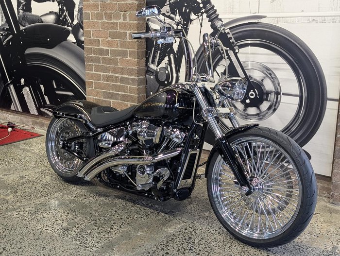 2024 Harley-Davidson Breakout 117 (FXBR) Softail Grey