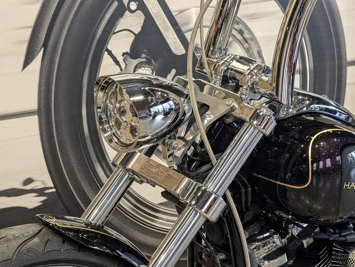 2024 Harley-Davidson Breakout 117 (FXBR) Softail Grey