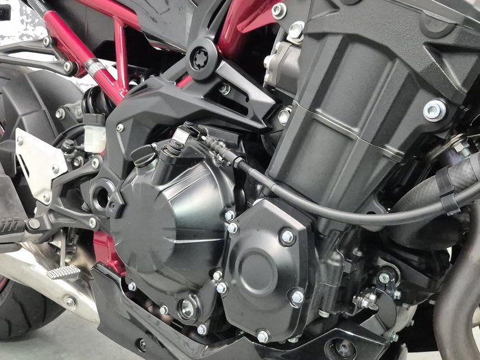 2021 Kawasaki Z900 (ZR900F) Z White