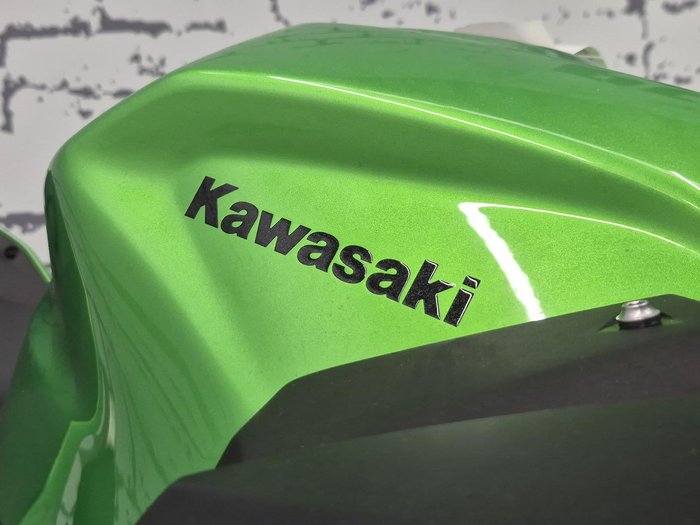 2025 Kawasaki Z500 (ER500) Z Green