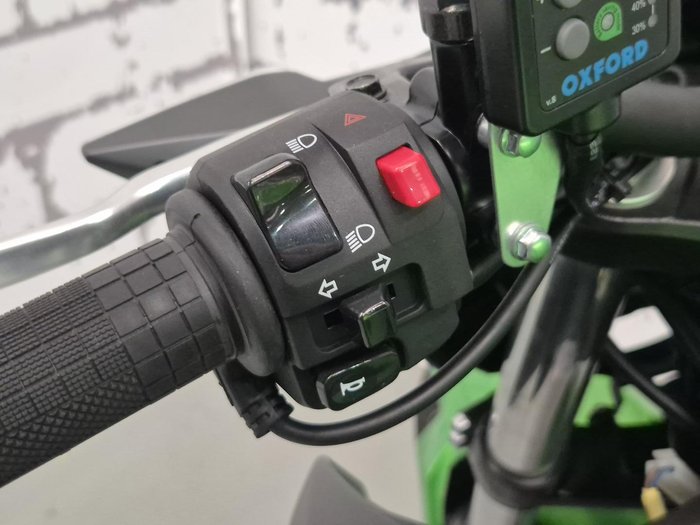 2025 Kawasaki Z500 (ER500) Z Green