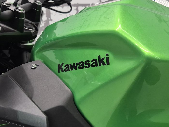2025 Kawasaki Z500 (ER500) Z Green