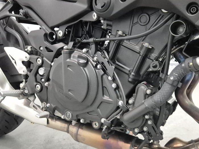 2025 Kawasaki Z500 (ER500) Z Green