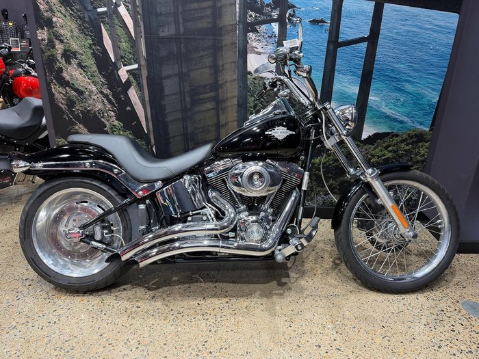 2010 Harley-Davidson Softail Custom 1584 (FXSTC)