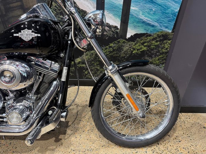 2010 Harley-Davidson Softail Custom 1584 (FXSTC)