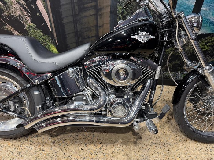 2010 Harley-Davidson Softail Custom 1584 (FXSTC)