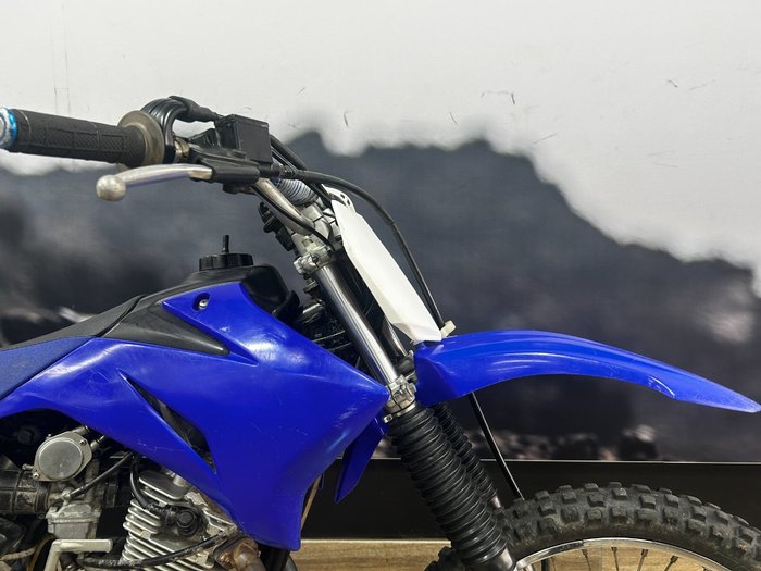 2014 Yamaha TTR125LWE BLUE