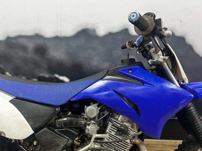 2014 Yamaha TTR125LWE BLUE