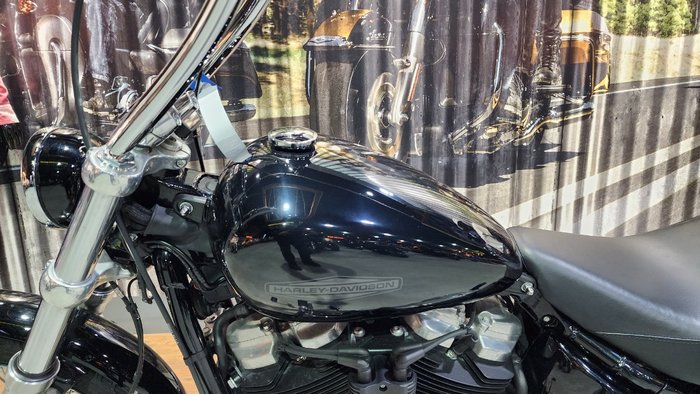 2020 HARLEY-DAVIDSON 2020 Harley-davidson 1700CC FXST SOFTAIL STANDARD