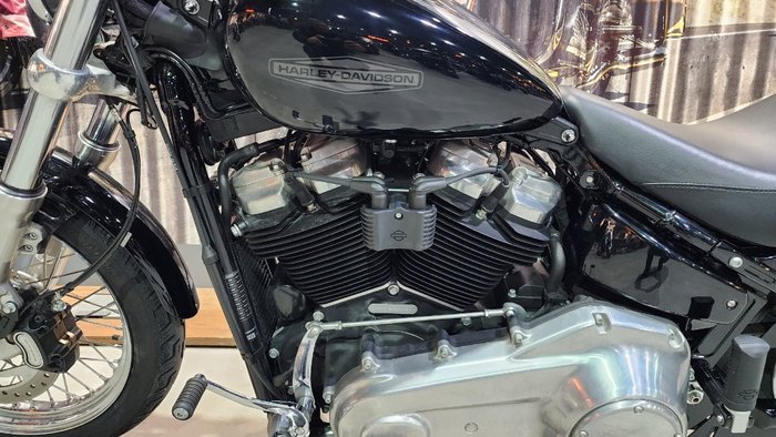 2020 HARLEY-DAVIDSON 2020 Harley-davidson 1700CC FXST SOFTAIL STANDARD