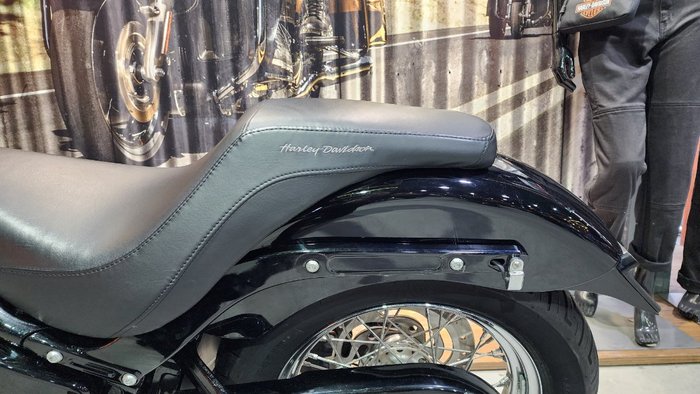 2020 HARLEY-DAVIDSON 2020 Harley-davidson 1700CC FXST SOFTAIL STANDARD