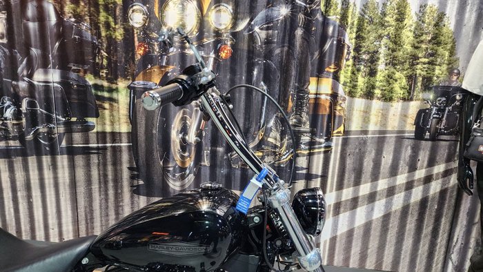 2020 HARLEY-DAVIDSON 2020 Harley-davidson 1700CC FXST SOFTAIL STANDARD