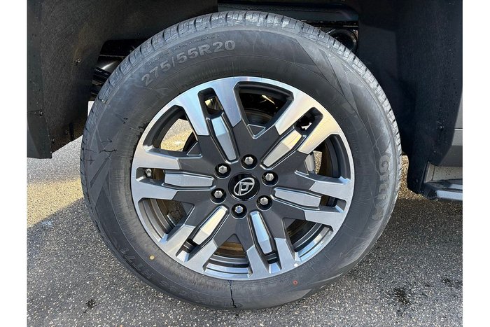 2025 LDV Terron 9 Evolve