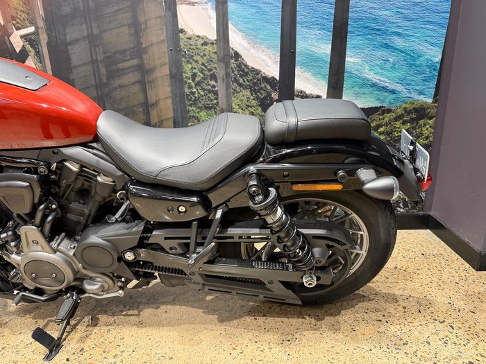 2024 Harley-Davidson Nightster (RH975) Sportster Red