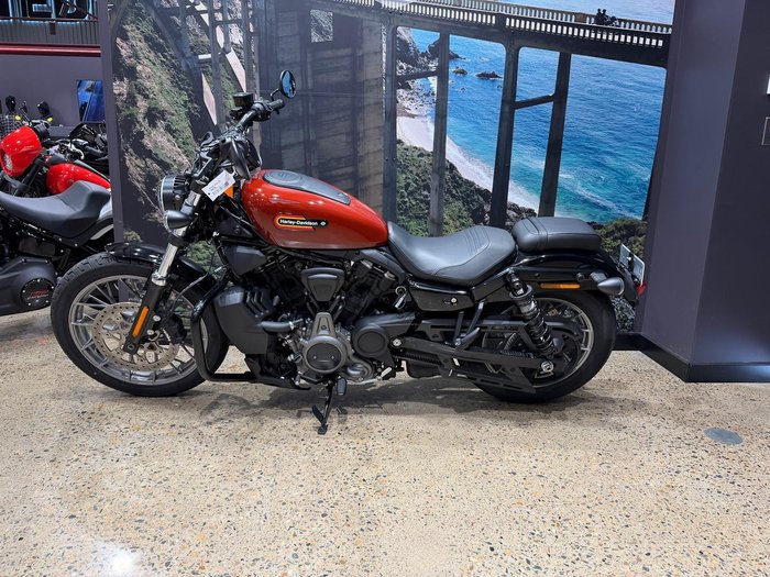 2024 Harley-Davidson Nightster (RH975) Sportster Red