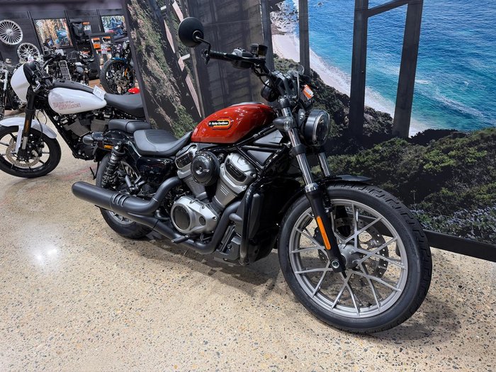 2024 Harley-Davidson Nightster (RH975) Sportster Red