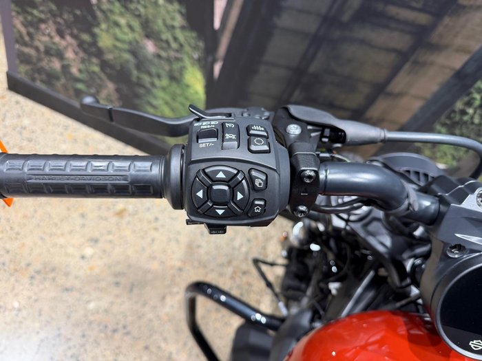 2024 Harley-Davidson Nightster (RH975) Sportster Red