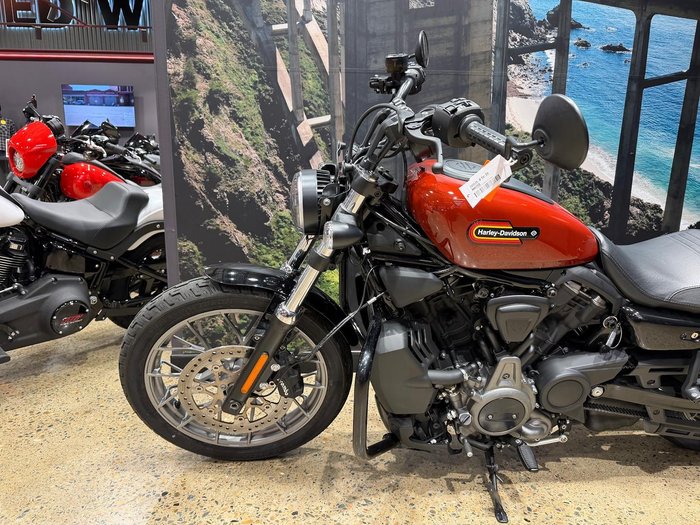2024 Harley-Davidson Nightster (RH975) Sportster Red