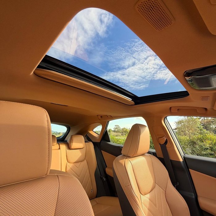 2026 Lexus NX 450h+ Luxury