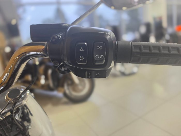 2026 HARLEY-DAVIDSON FLFB FAT BOY (117)