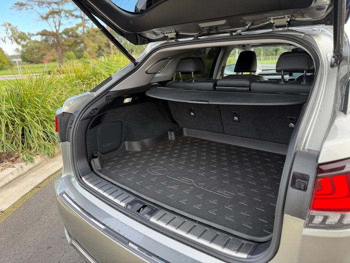 2020 Lexus RX 450h Sports Luxury