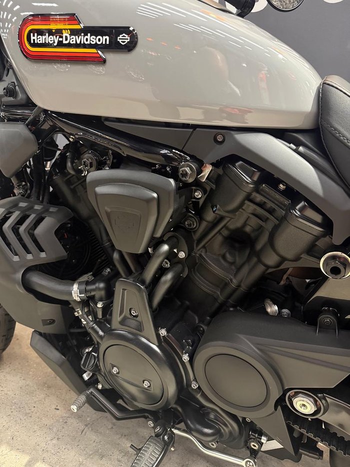 2025 Harley-Davidson Nightster (RH975) Sportster