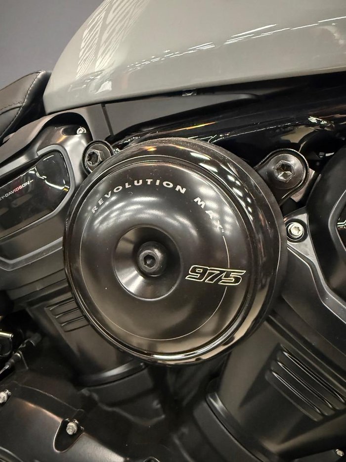 2025 Harley-Davidson Nightster (RH975) Sportster