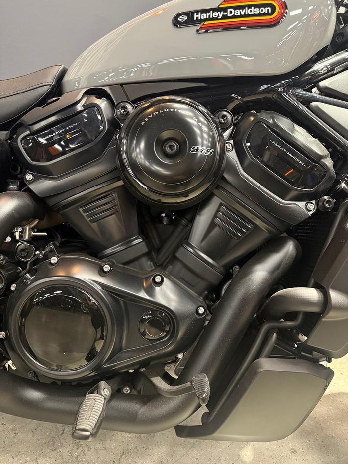 2025 Harley-Davidson Nightster (RH975) Sportster