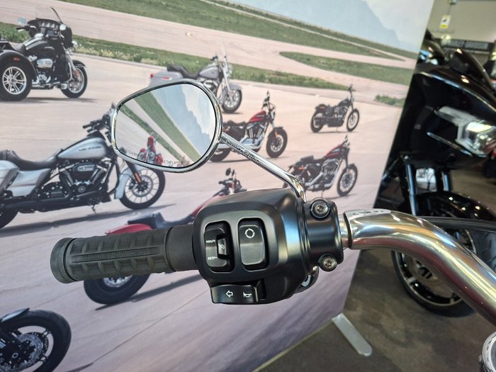 2026 HARLEY-DAVIDSON FLFB FAT BOY (117)