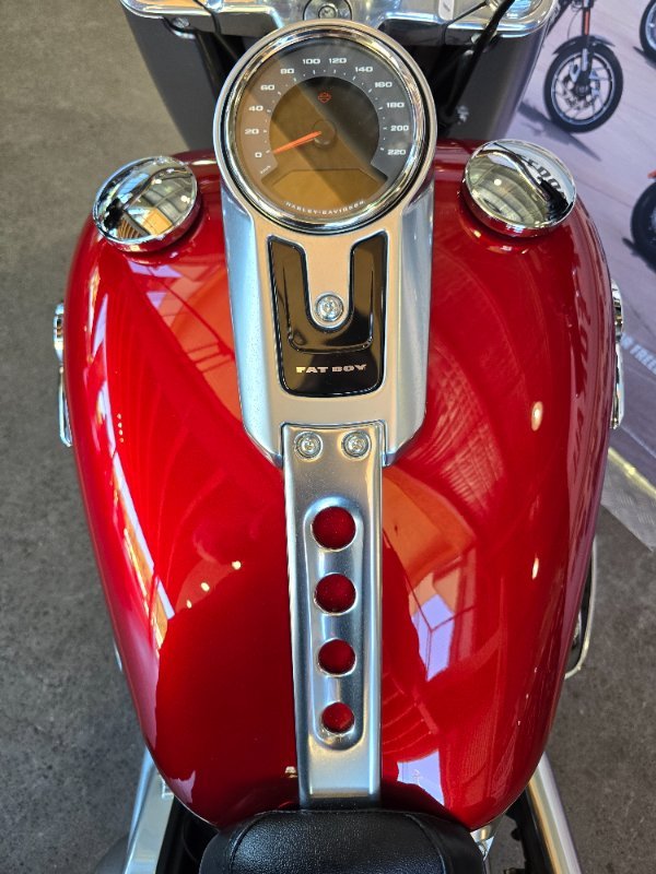 2019 HARLEY-DAVIDSON FLFBS FAT BOY S (114) (CUST)