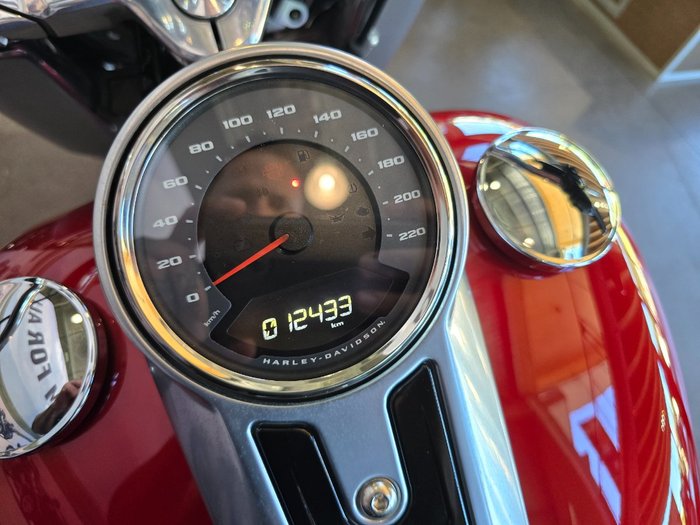 2019 HARLEY-DAVIDSON FLFBS FAT BOY S (114) (CUST)